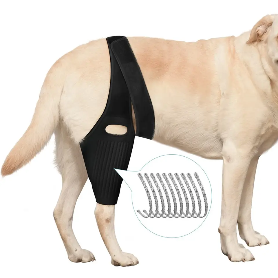 Dog Knee Brace For torn ACL with 10 Side Stabilizers