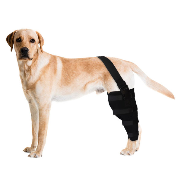 Dog Front Leg Joint Brace Elbow Protector